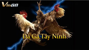 Đá Gà Tây Ninh