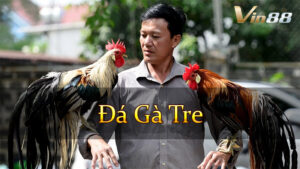Đá Gà Tre