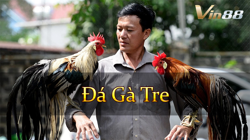 Đá Gà Tre