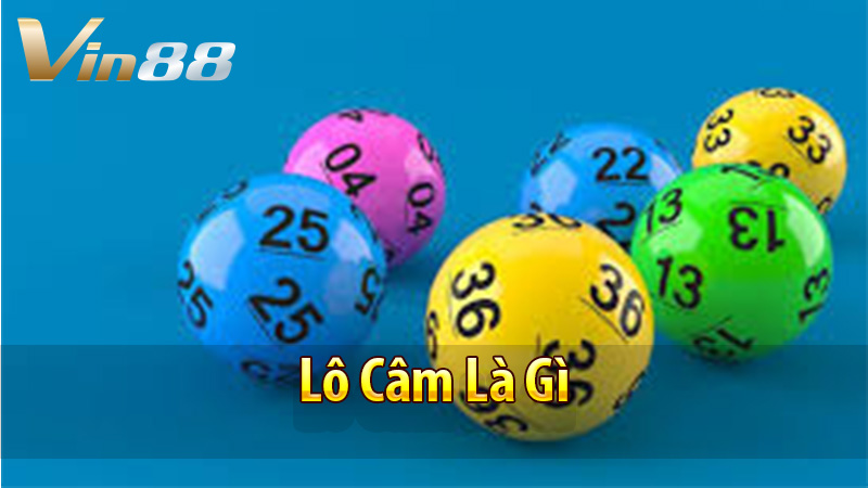 Lô Câm Là Gì?